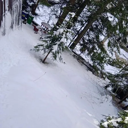 Vikendica Uma Vlasic * Travnik